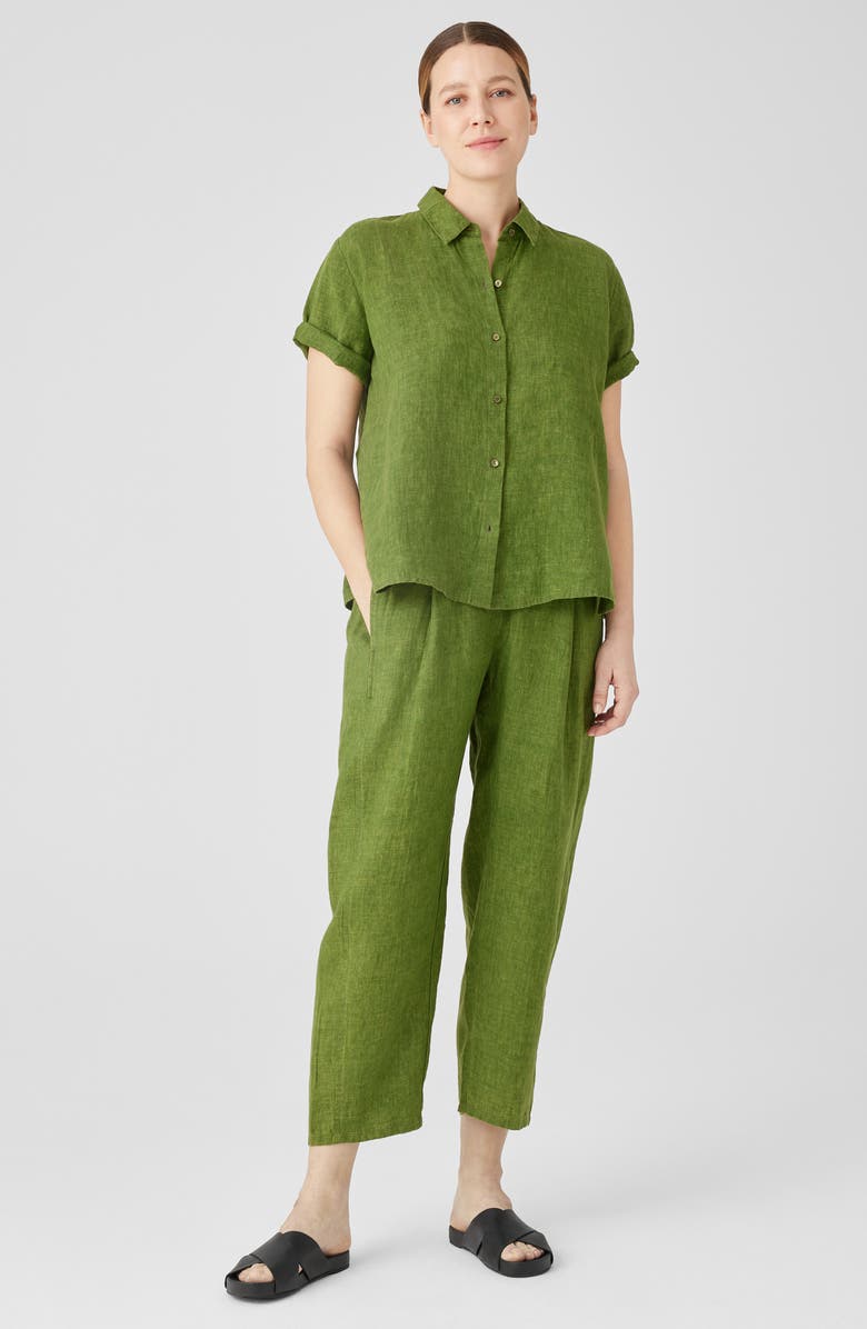 Eileen Fisher Classic Collar Organic Linen Button-Up Shirt, Alternate, color,