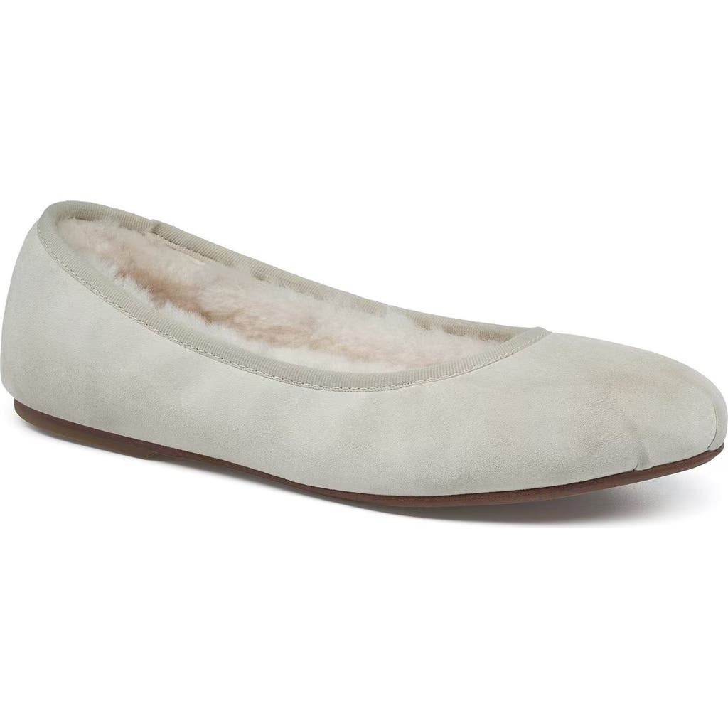 Grace Footwear Reimsf Ballerina In Multi