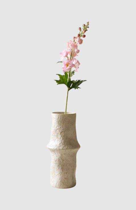 Light Pink Delphinium Flower