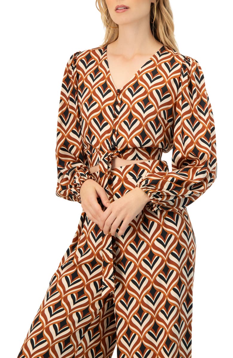 IVONNE V-Neck Geometric Print Blouse with Bottom Tie, Alternate, color, Multi-Brown