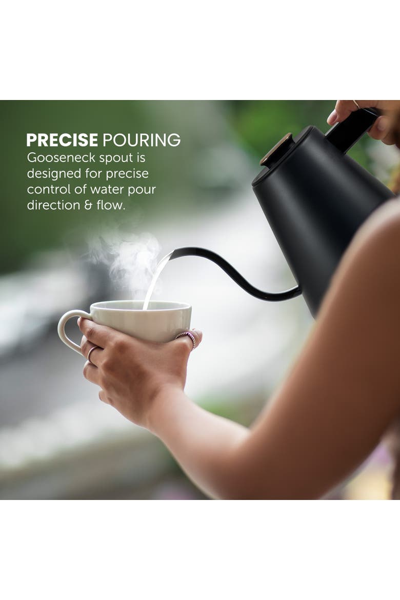 1 L Digital Gooseneck Kettle with Temperature Control, Alternate, color, Stainless Steel