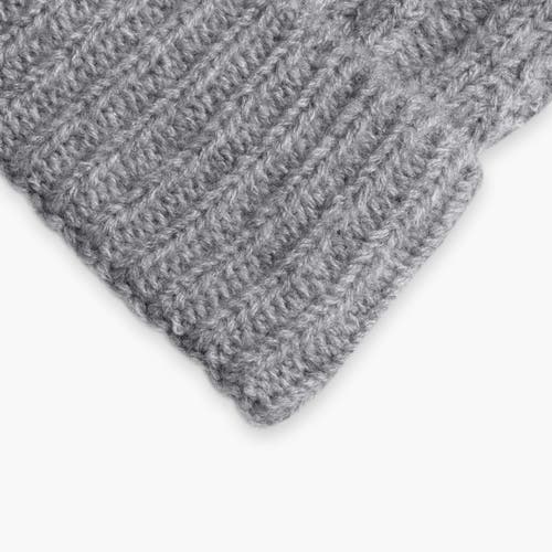 Turtle Fur Lindsey Pom Beanie In Gray
