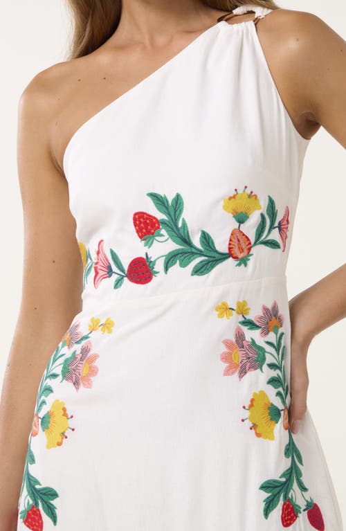 Ever New Ollie One Shoulder Floral Embroidery Dress