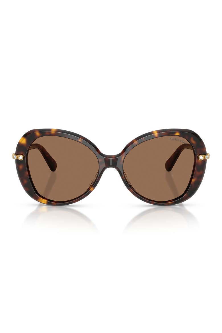 55mm Butterfly Sunglasses, Main, color, HAVANA / DARK BROWN