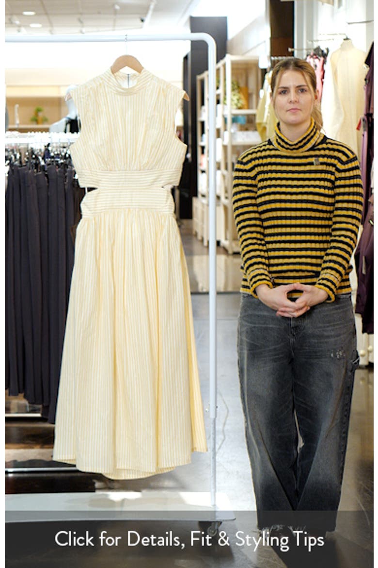 The Julianne Stripe Cotton Maxi Dress video
