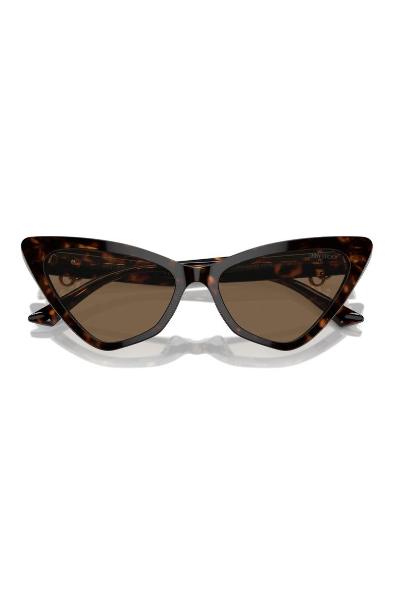 55mm Cat Eye Sunglasses, Alternate, color, HAVANA / DARK BROWN