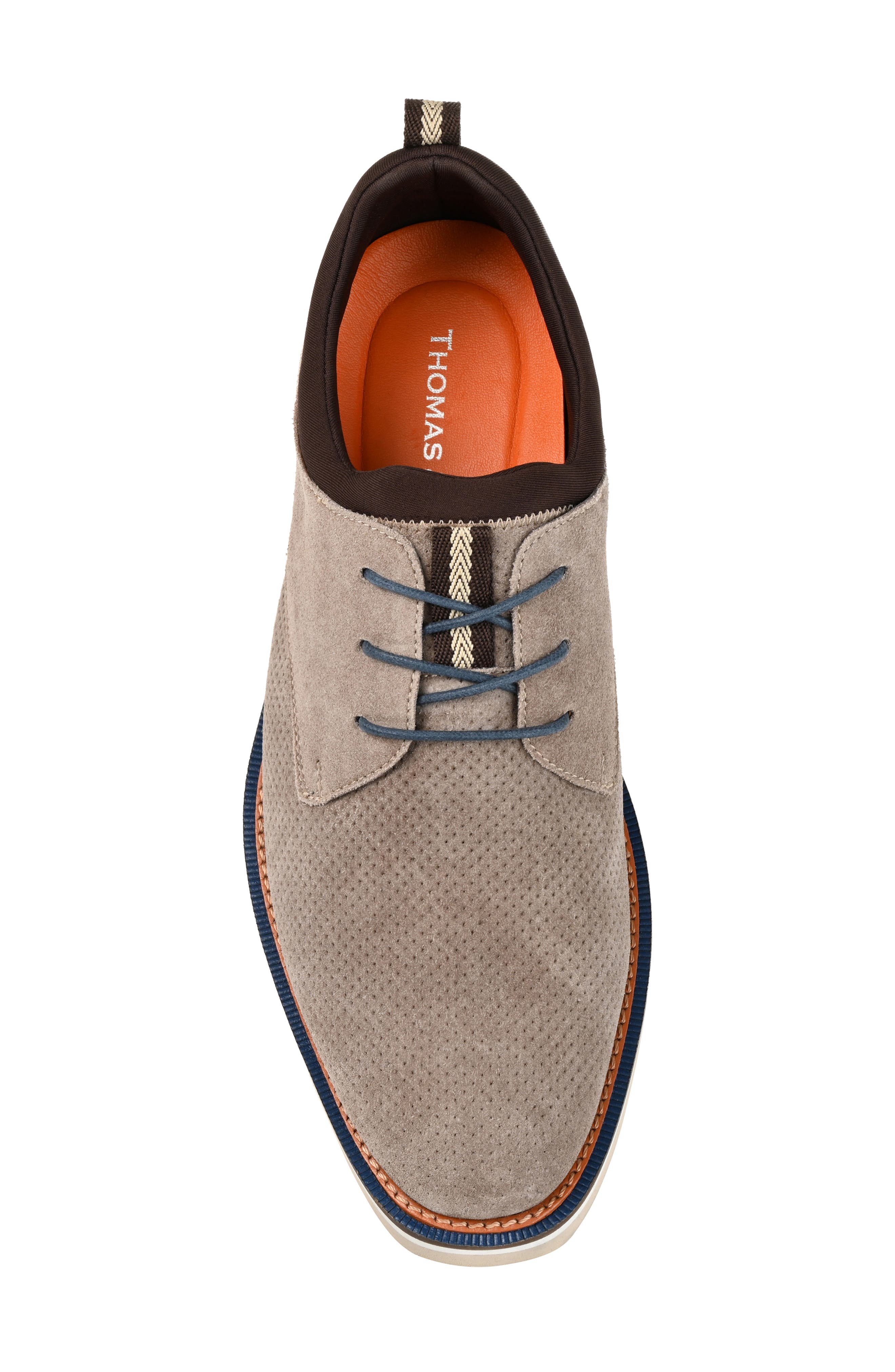 Thomas & Vine Desmond Perforated Derby, Alternate, color, 