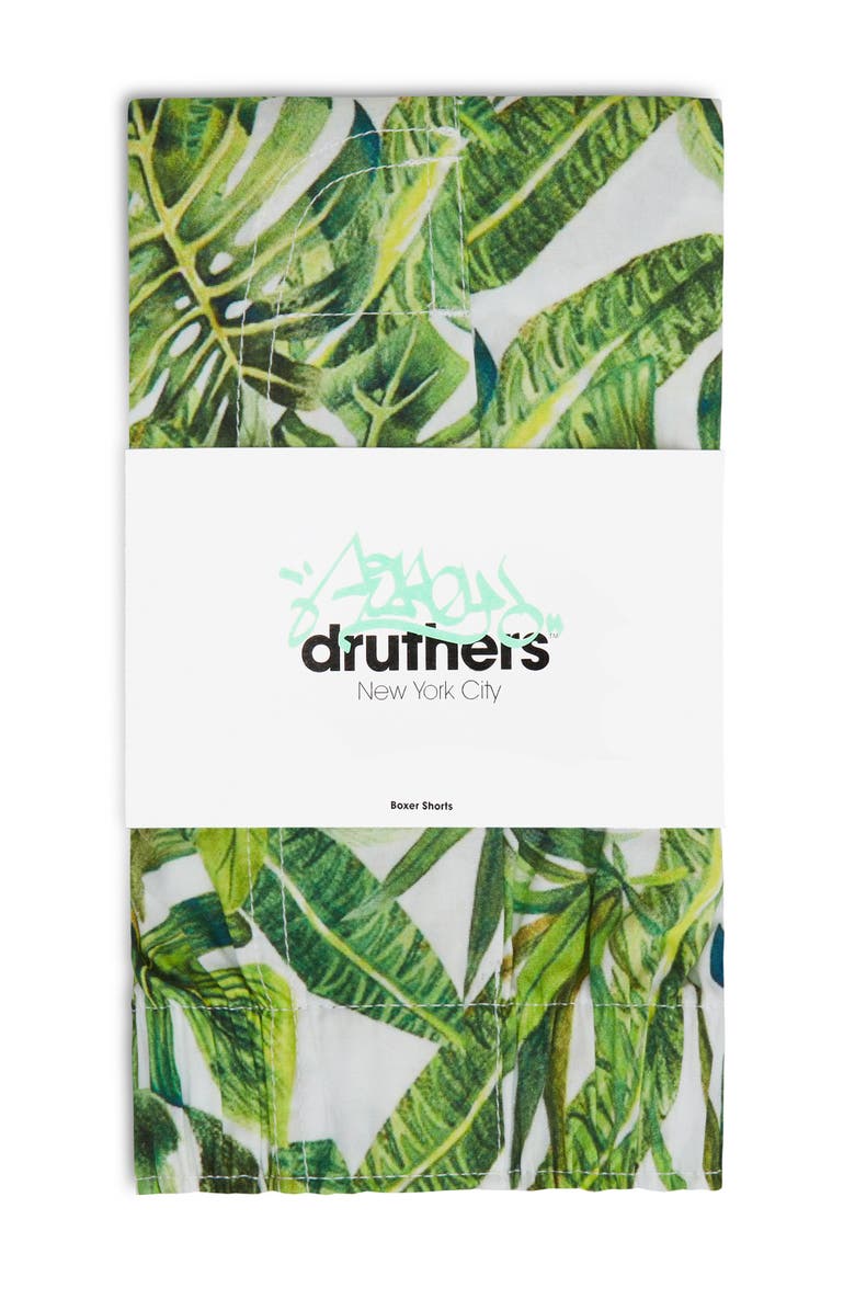 Druthers NYC Organic Cotton House Plants Boxer Short, Alternate, color, White