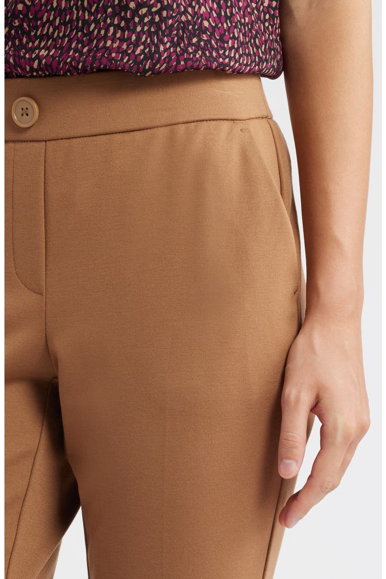 Faux Fly Straight Leg Pants, Alternate, color, VICUNA