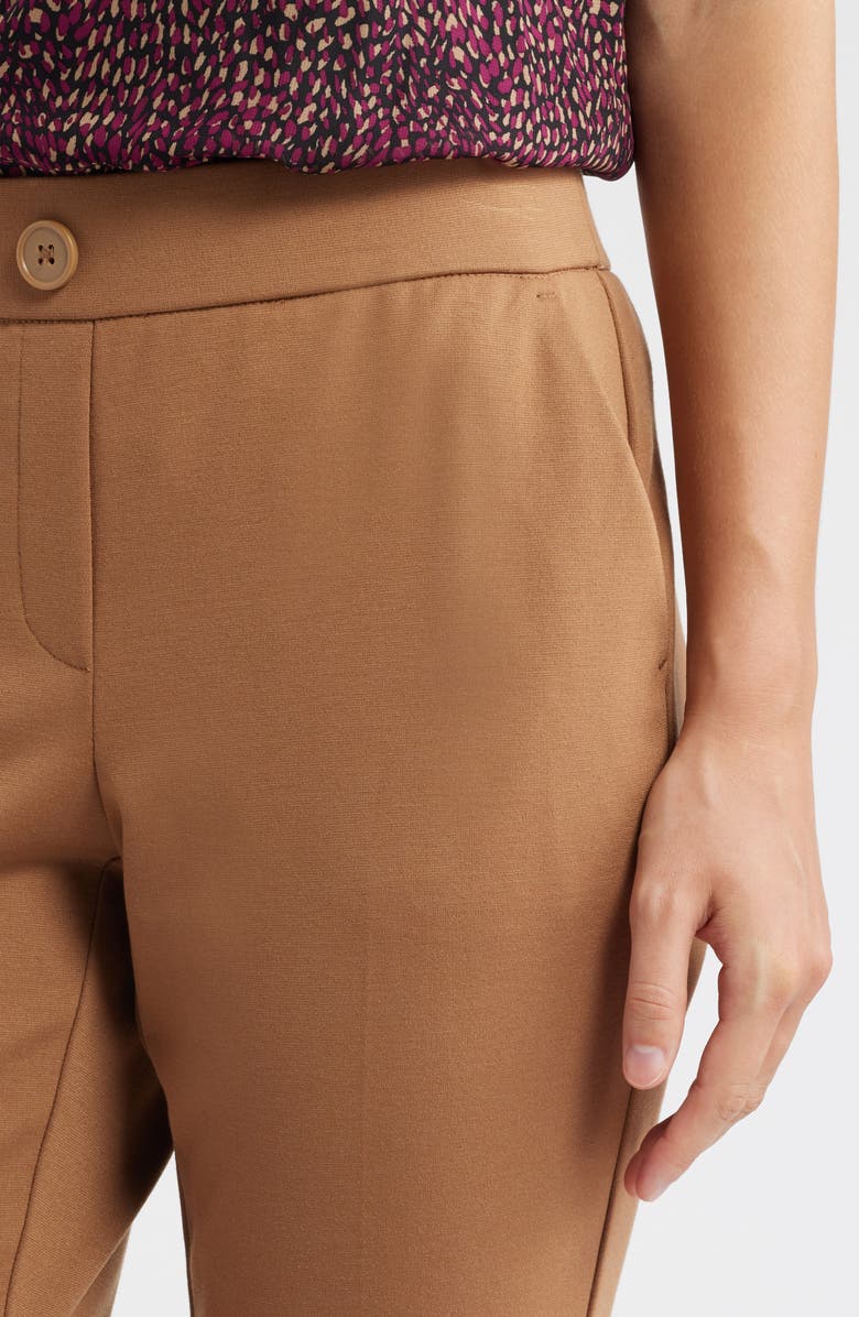 AK ANNE KLEIN Faux Fly Straight Leg Pants, Alternate, color, Vicuna