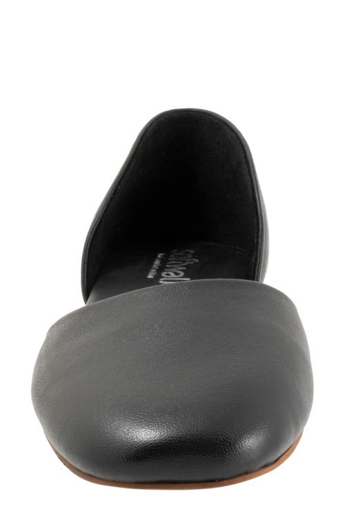 Softwalk ® Kamari D'orsay Flat In Black