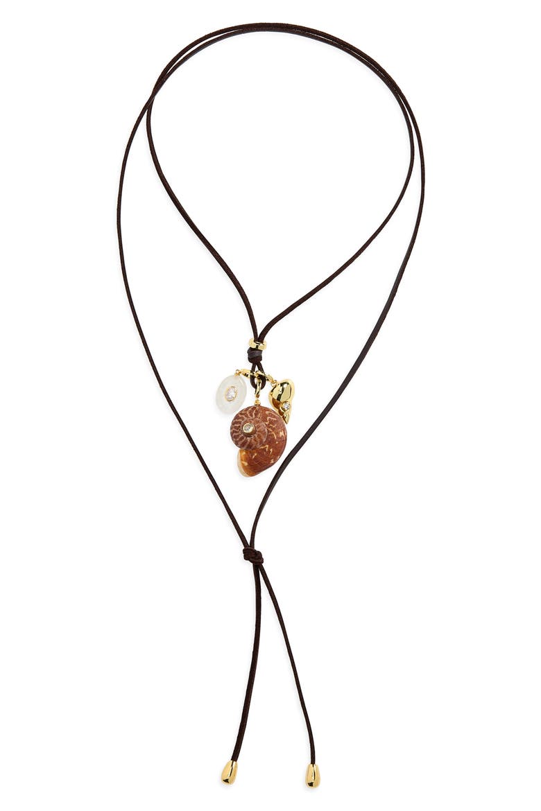 Area Charm Lariat Necklace, Main, color, BROWN MULTI
