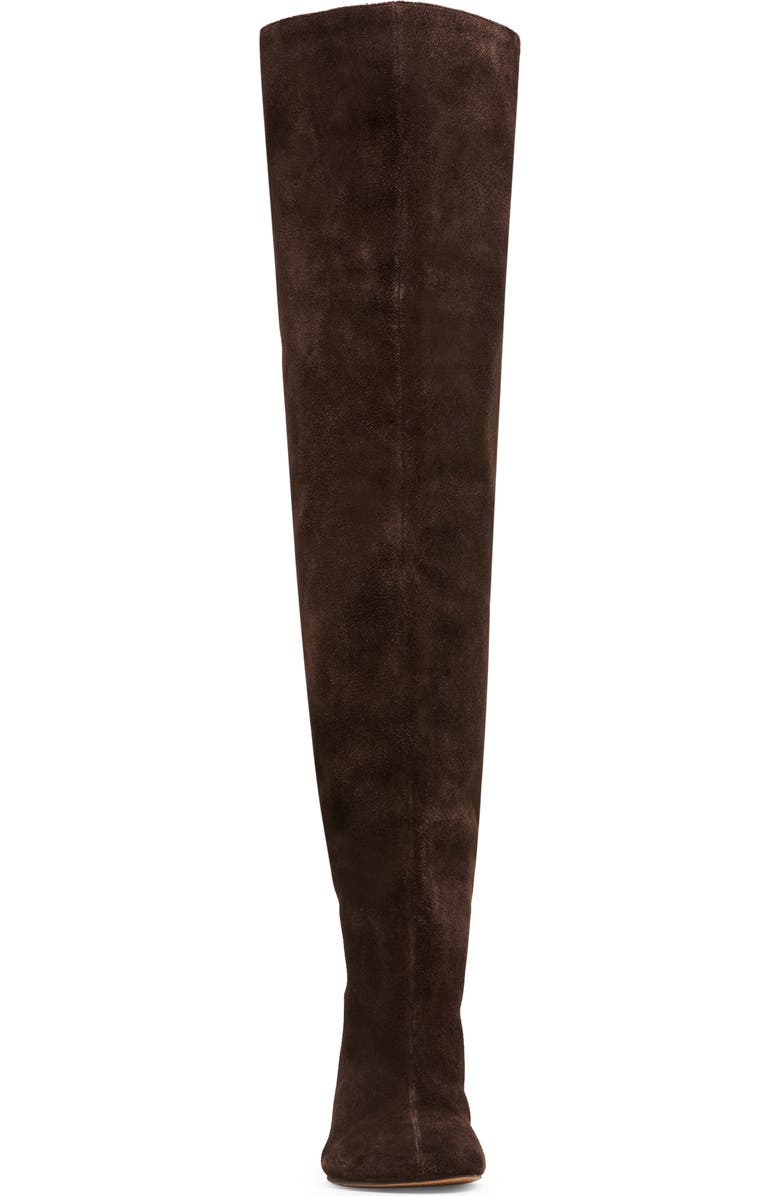Steve Madden Allison Over the Knee Boot, Alternate, color, Brown Suede
