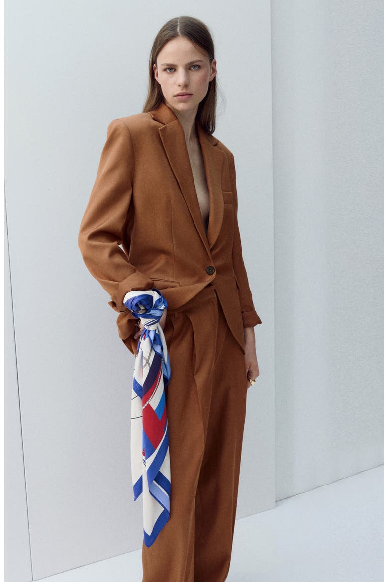 Minesota Pleated Pants, Alternate, color, RUSSET