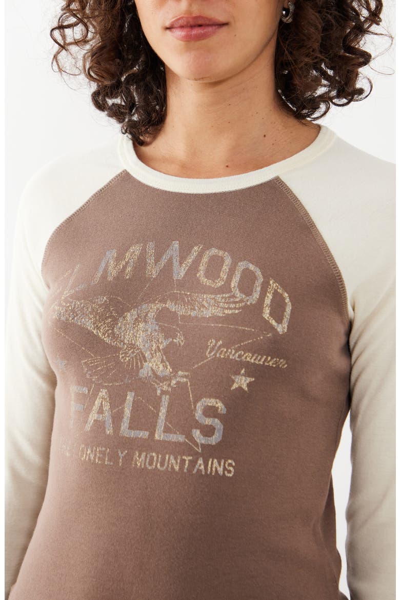 Elmwood Raglan Graphic T-Shirt, Alternate, color, BROWN