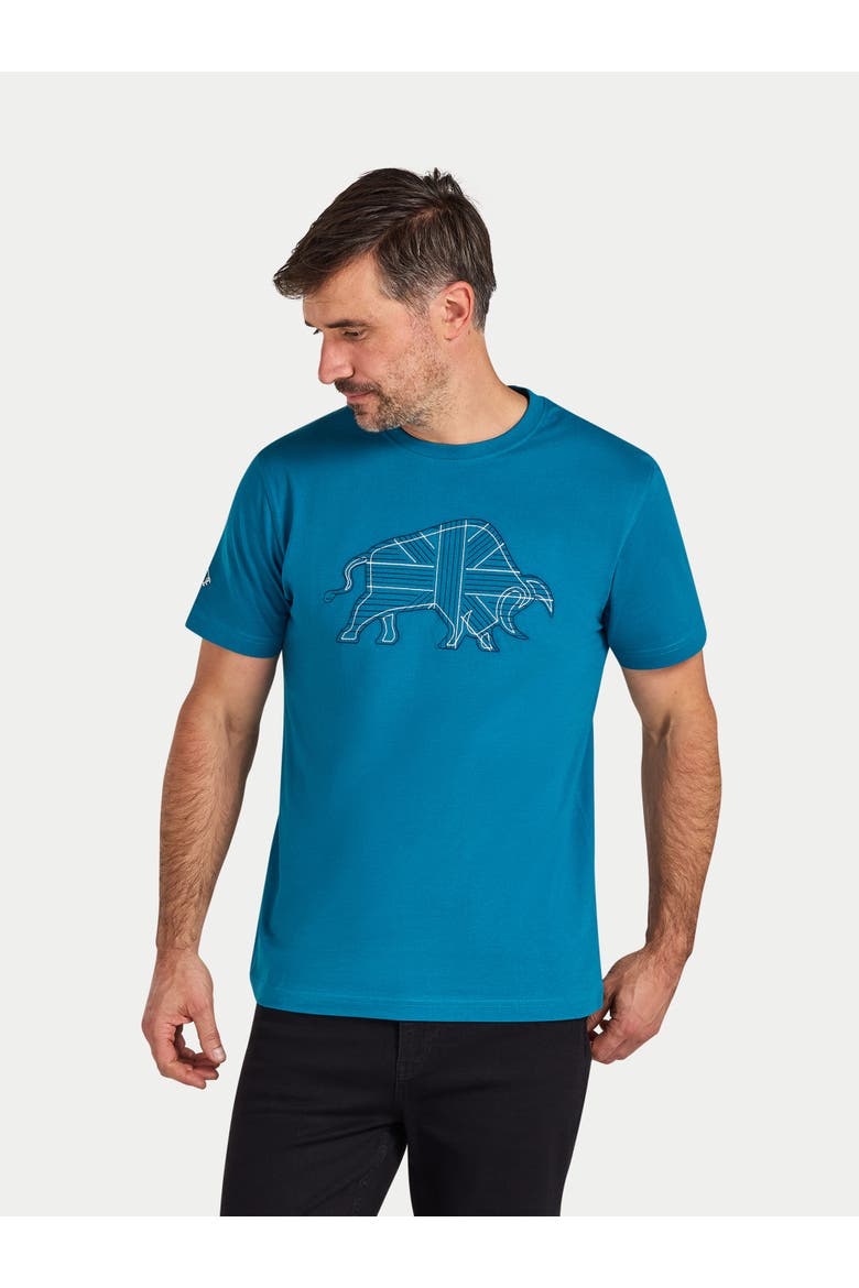 Stitch Embroidery Bull T-Shirt, Main, color, Teal
