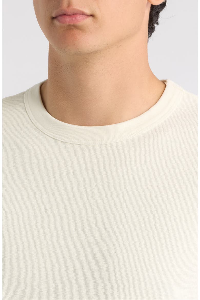 Solid Cotton Blend Crewneck T-Shirt, Alternate, color, EGRET