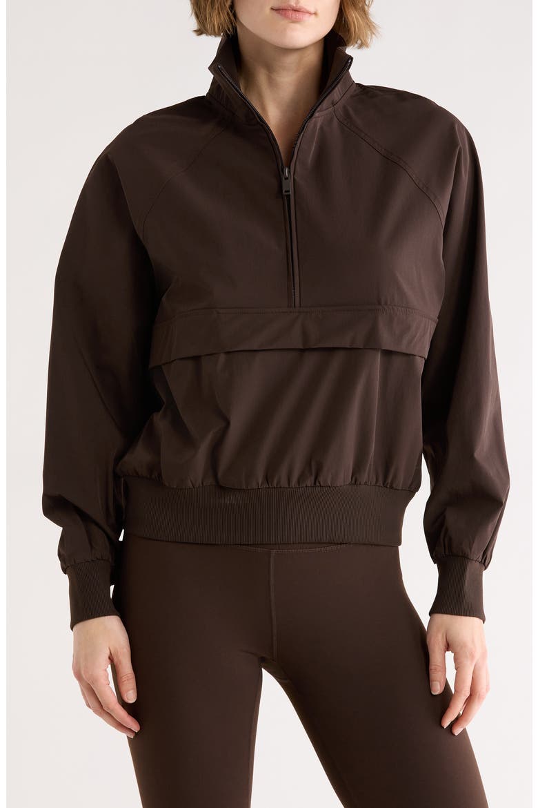Perfect Day Half Zip Pullover, Main, color, BROWN MOLE'