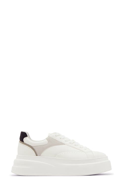 Steve Madden Venture Platform Sneaker