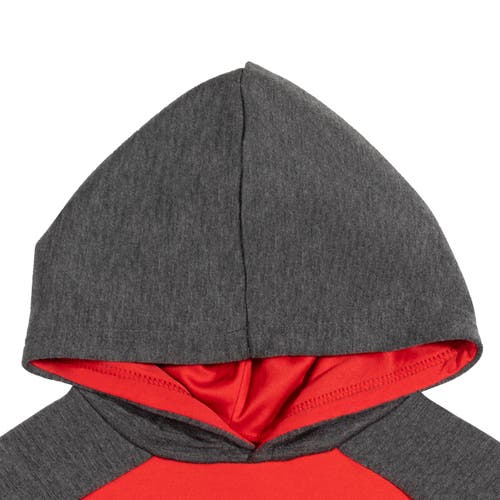 Sega Sonic The Hedgehog Pullover Hoodie In Multi