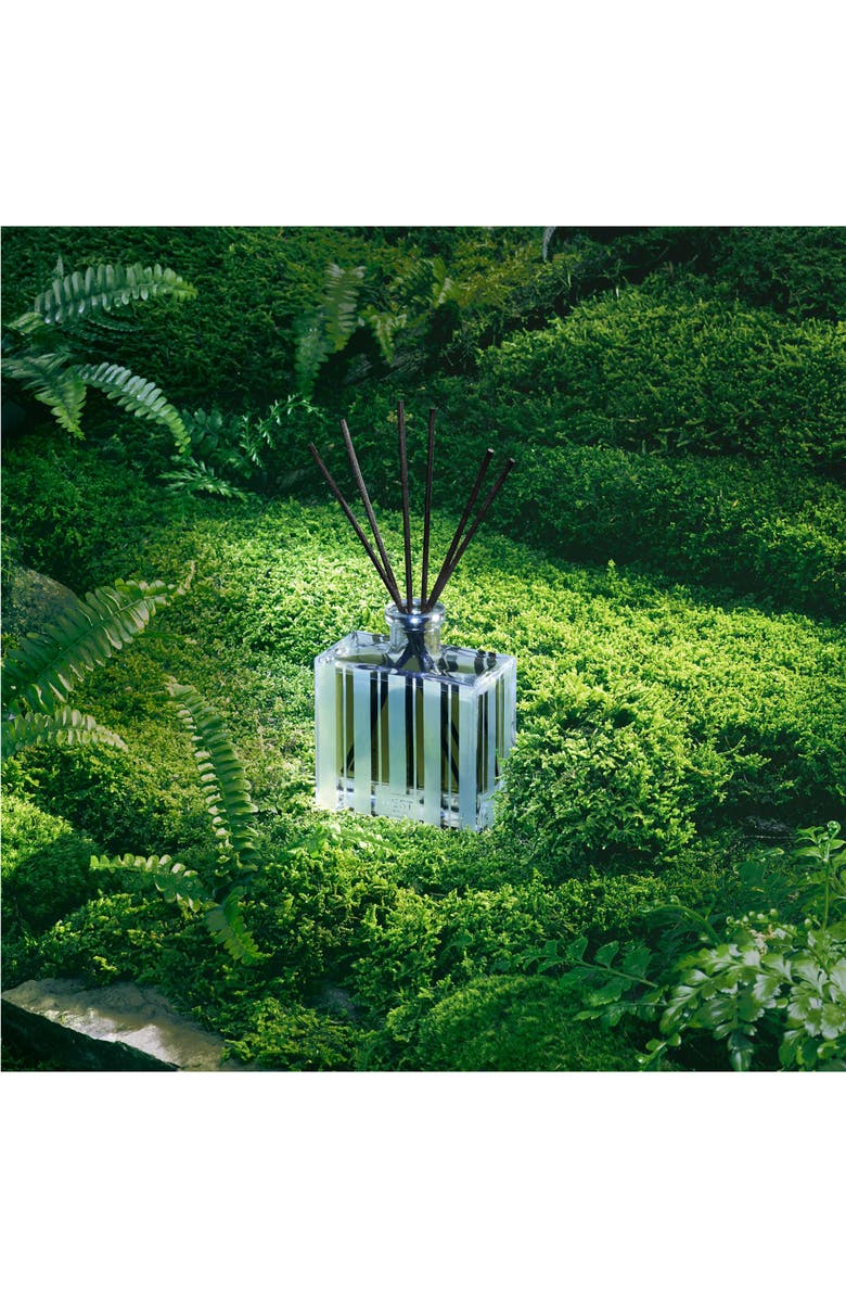 NEST New York Midnight Moss & Vetiver Reed Diffuser, Alternate, color,