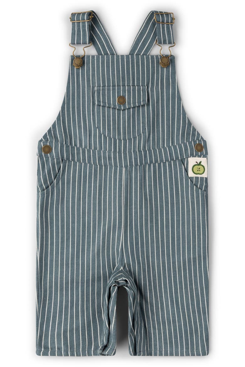 Kids' Stripe Organic Cotton Twill Overalls, Main, color, NAVY