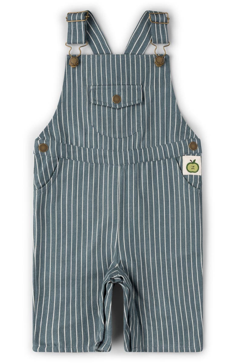 Little Green Radicals Kids' Stripe Organic Cotton Twill Overalls, Main, color, Navy