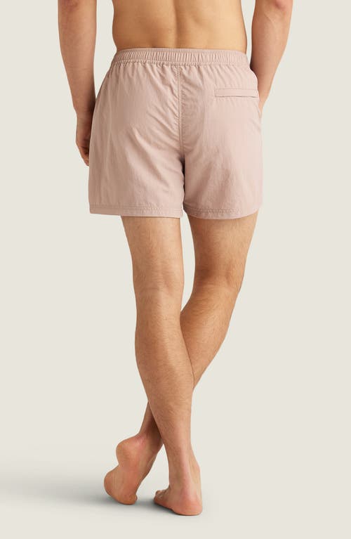 Auto-reply™ Sebastian Solid 4-inch Nylon Swim Trunks In Clay