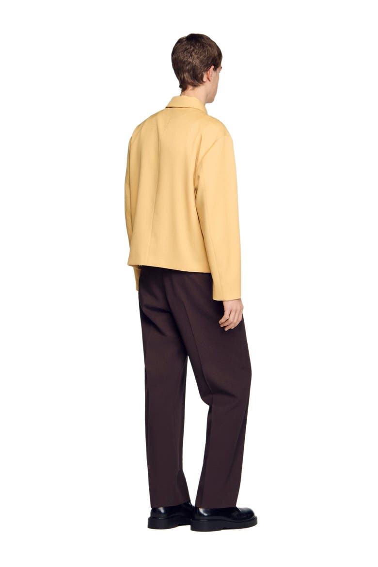 Zip-up jacket, Alternate, color, Light yellow