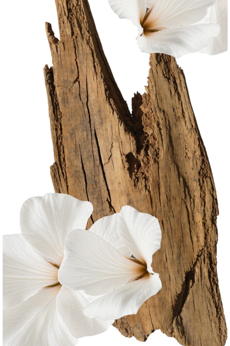 Valaya Hair Perfume, Alternate, color, NO COLOR