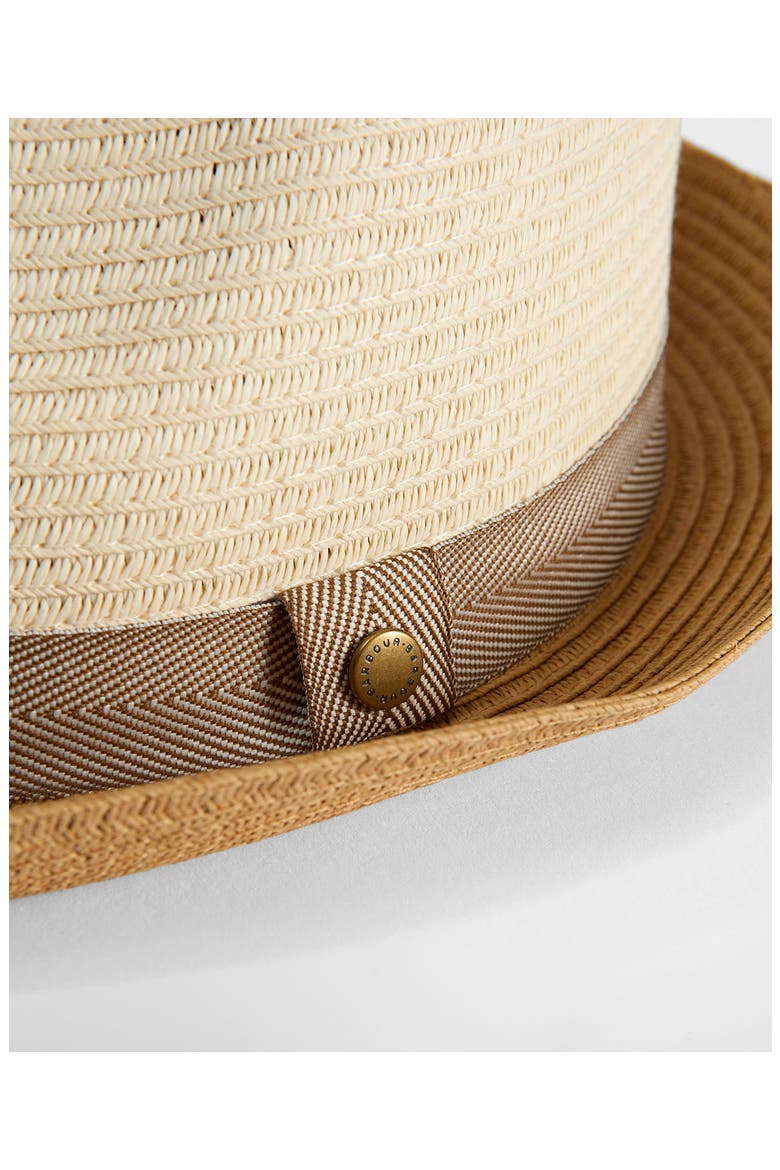 Ashill Trilby Summer Hat, Alternate, color, ECRU/ TAN