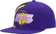 Mitchell & Ness Men's Mitchell & Ness Purple Los Angeles Lakers Hardwood Classics Retroline Snapback Hat