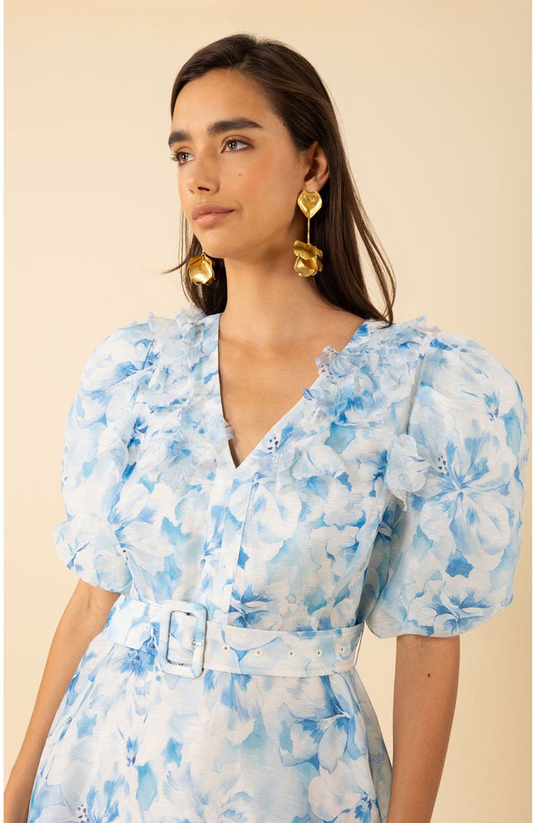 Hale Bob Promise Floral Organza Dress, Alternate, color, 