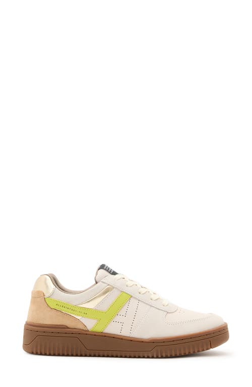Allsaints Suede Vix Sneakers In White/brown/green