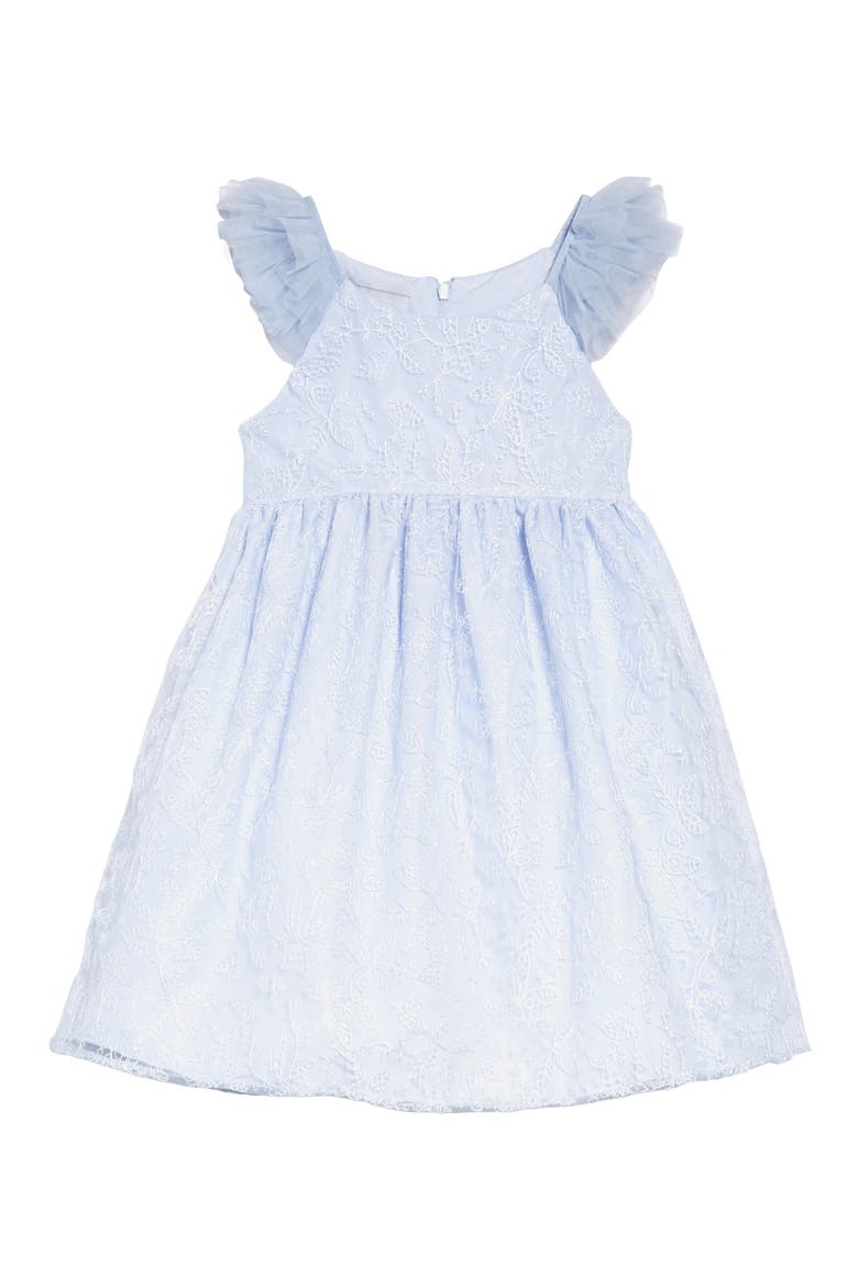 Embroidered Flutter Sleeve Dress, Main, color, BLUE