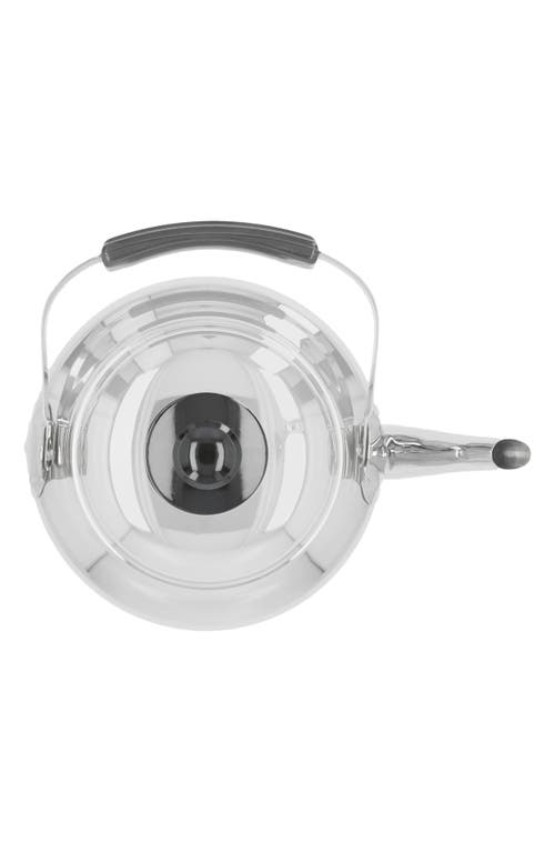 Demeyere Resto 4.2-quart Stainless Steel Kettle In Silver