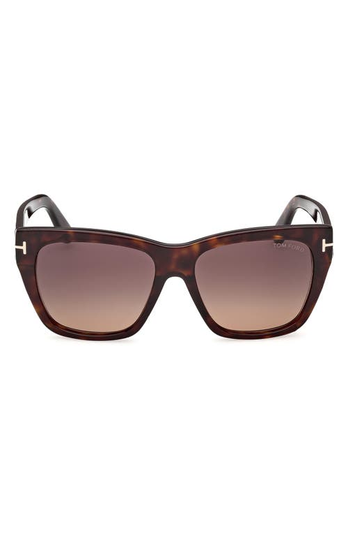 TOM FORD Flynn 55mm Gradient Butterfly Sunglasses in Shiny Classic Dark Havana/t/logo/gradient Plum To Sand Lens at Nordstrom
