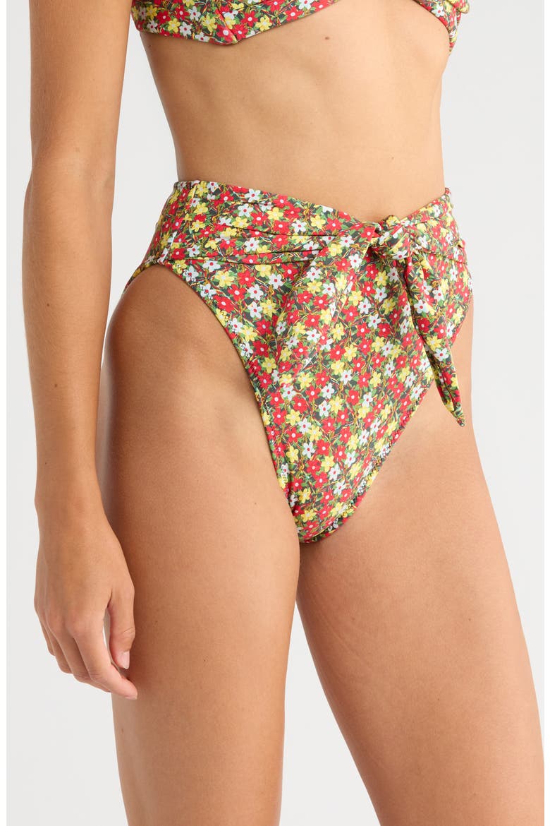 Sienna Paula Bikini Bottoms, Alternate, color, SIENNA FLORAL