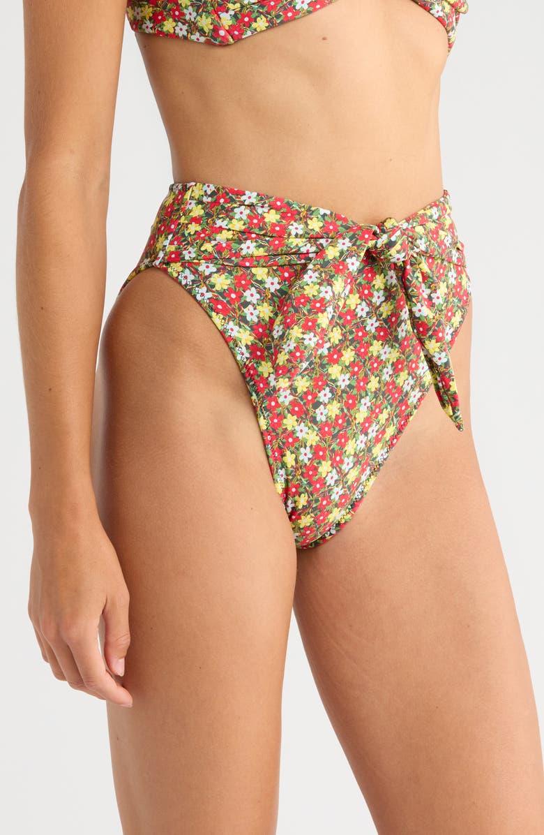MONTCE Sienna Paula Bikini Bottoms, Alternate, color, Sienna Floral