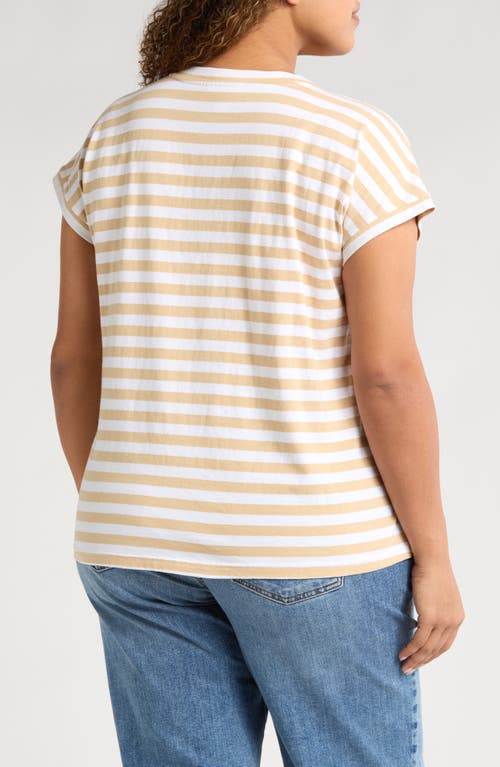 CASLON CASLON® STRIPE V-NECK COTTON T-SHIRT 