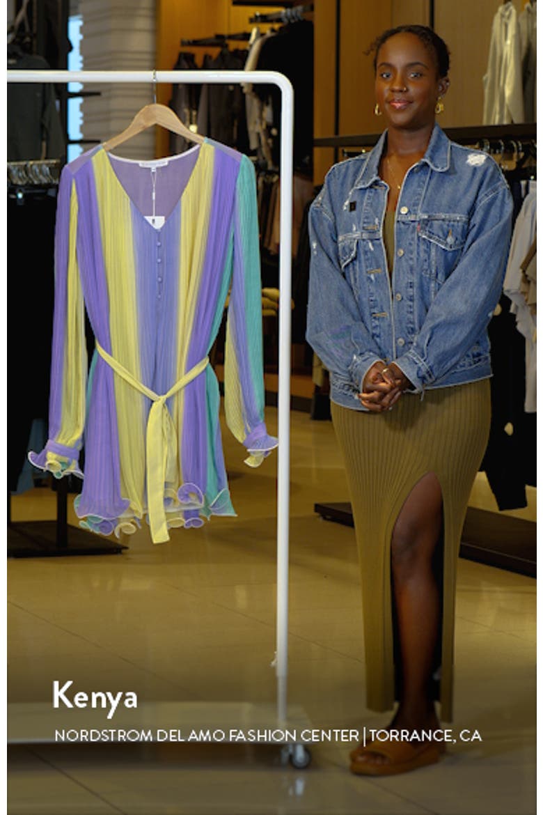 Stripe Pleated Long Sleeve Minidress video