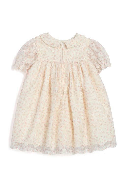 Pippa & Julie Collared Mesh Dress In Neutral