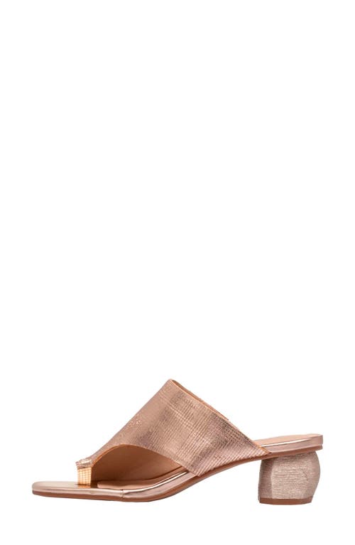 Antelope Afton Toe Loop Leather Dress Sandal In Gold
