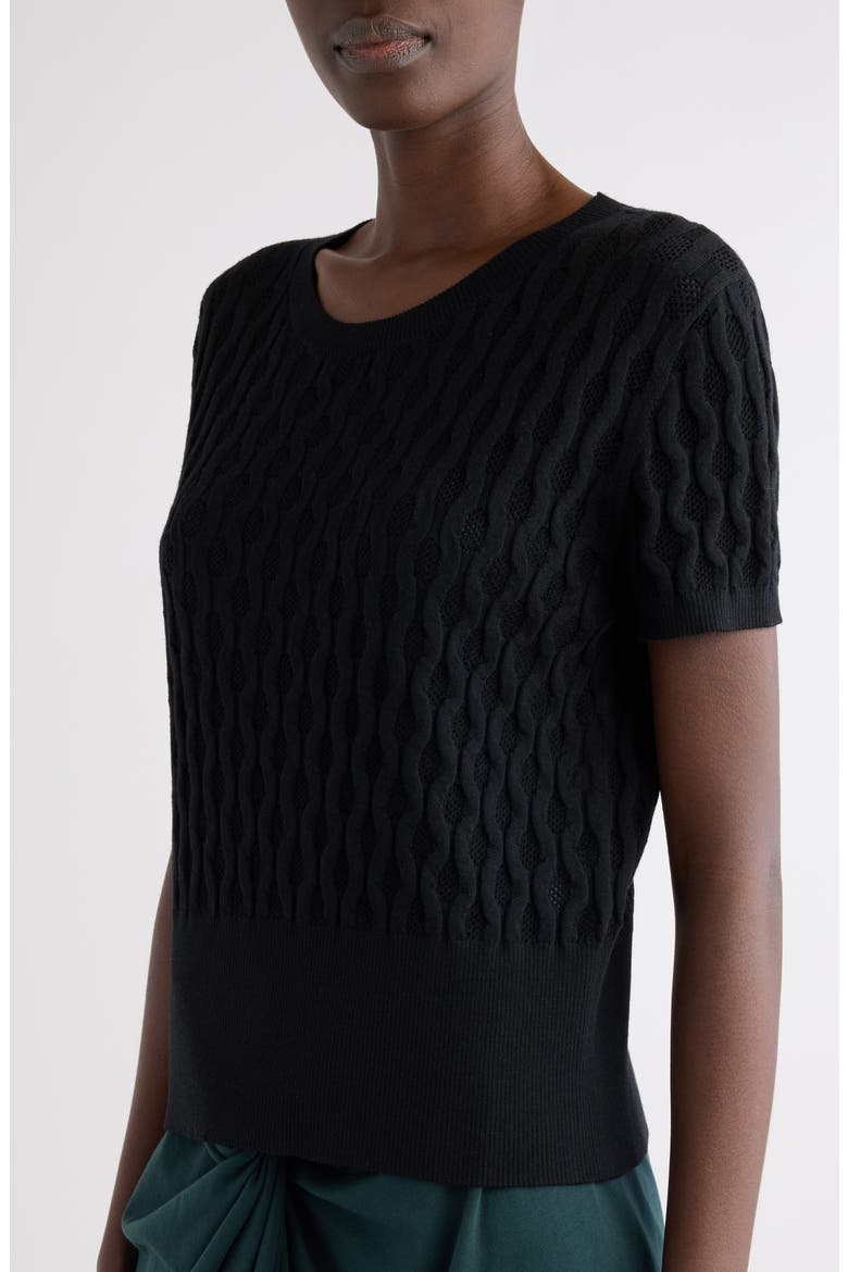 Target Short Sleeve Merino Wool Sweater, Alternate, color, BLACK