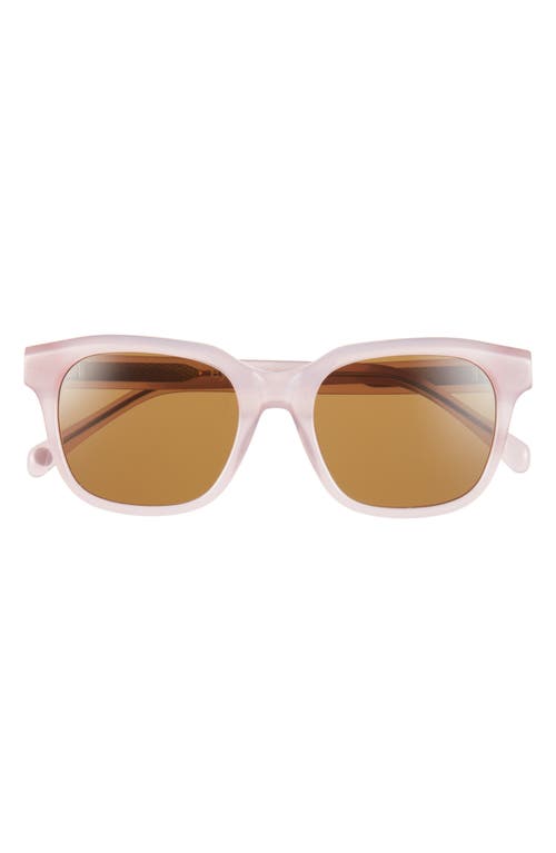 Eyebobs Nomad 50mm Square Reader Sunglasses In Brown