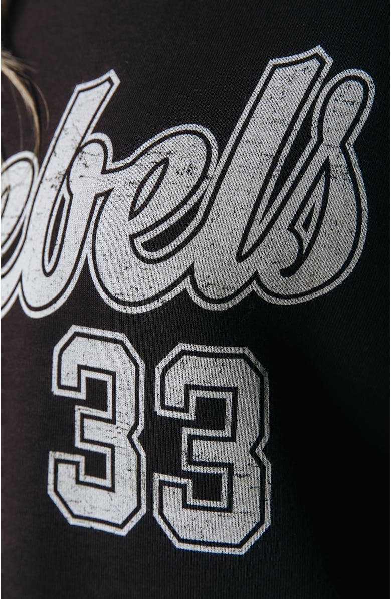 Colourful Rebel Rebel 33 Clean Hoodie, Alternate, color, Brown