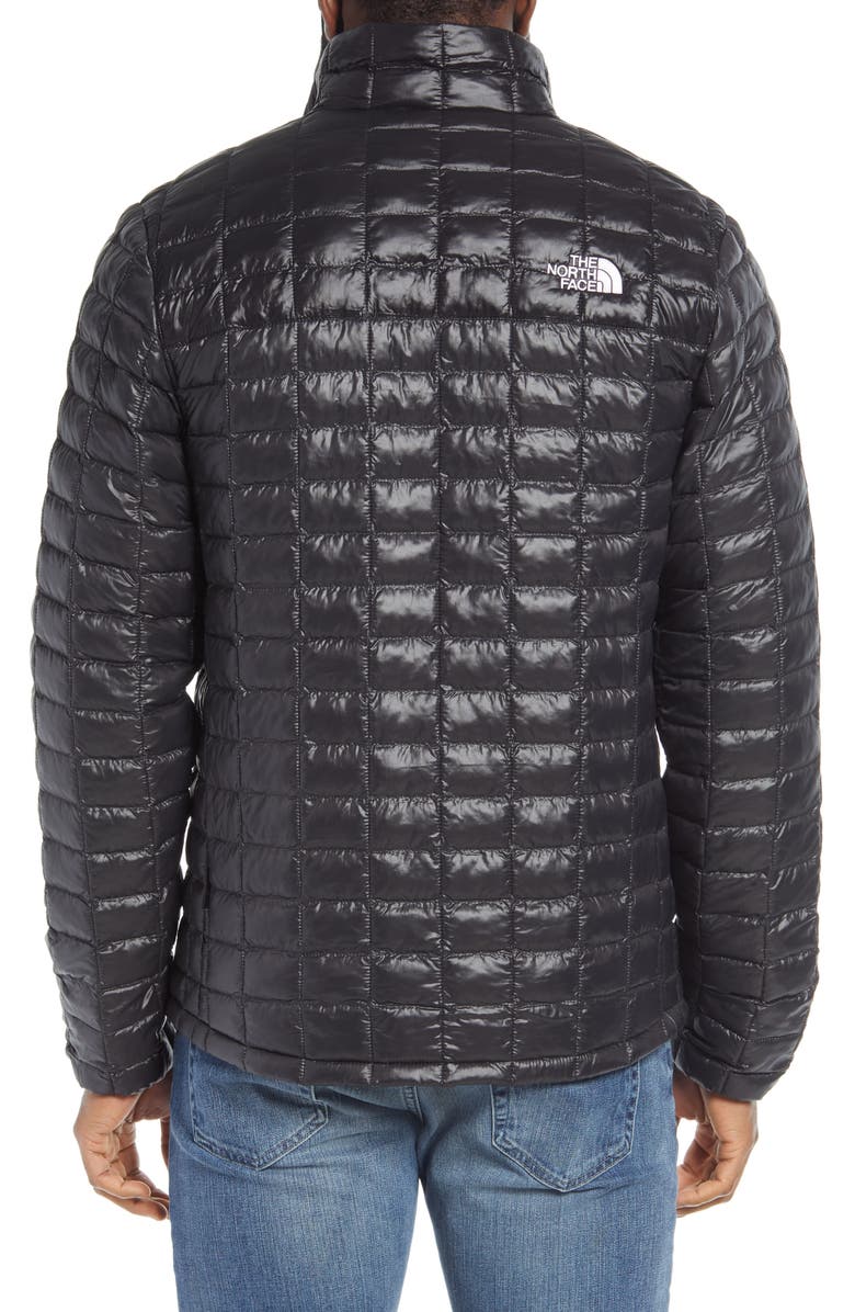 The North Face ThermoBall<sup>™</sup> Eco Packable Jacket, Alternate, color,