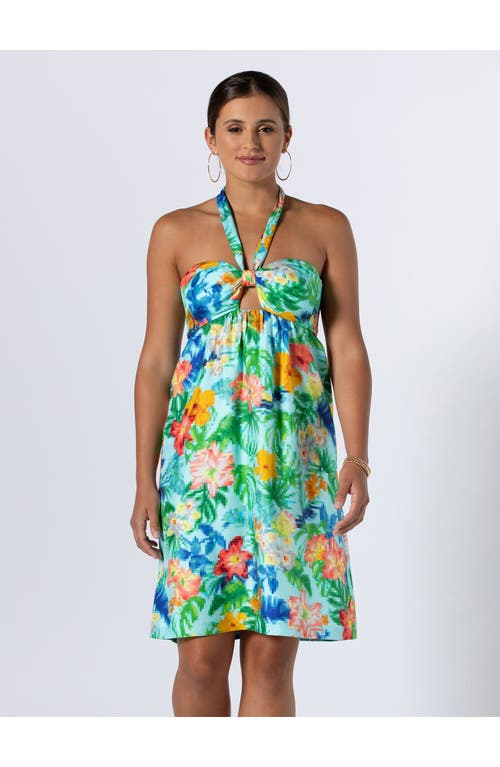 Tori Richard Tropical Loading... Lotte Dress In Aqua
