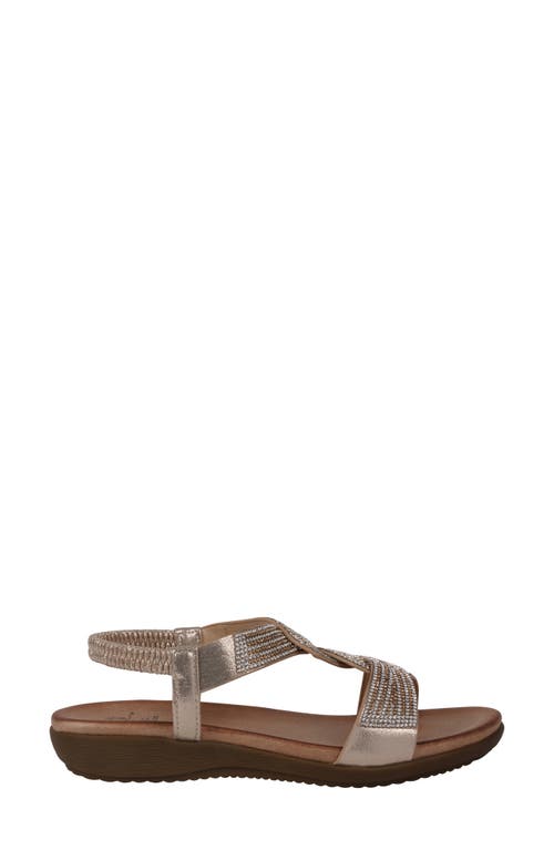 Gc Shoes Viana Ankle Strap Sandal In Gold