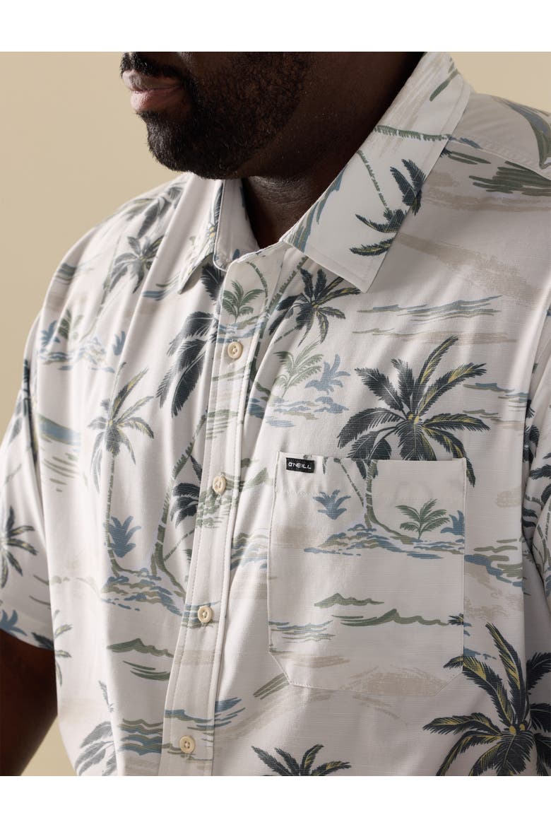 Big & Tall Tropical Print Performance Sport Shirt, Alternate, color, TOFU